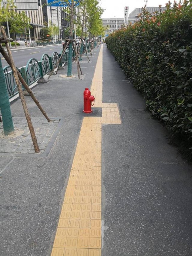 Подборка картинок. Вечерний выпуск - 03.03.2026