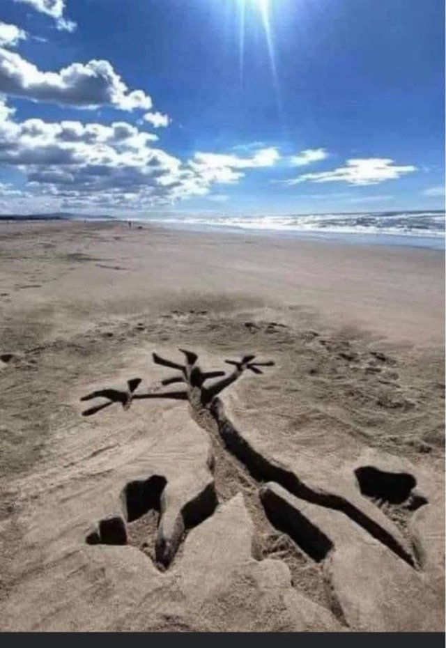 Подборка картинок. Вечерний выпуск - 03.03.2026