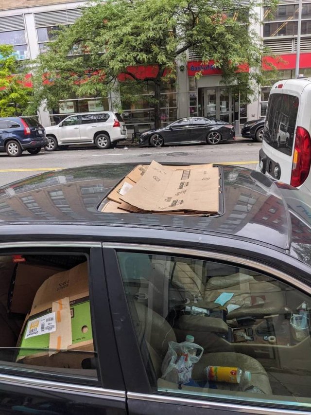 Подборка картинок. Вечерний выпуск - 03.03.2026