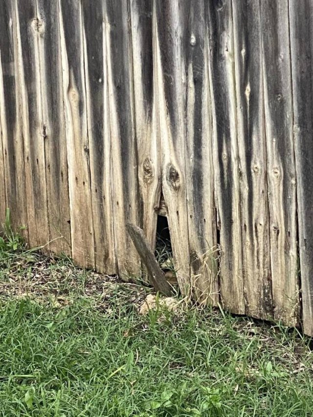 Подборка картинок. Вечерний выпуск - 03.03.2026