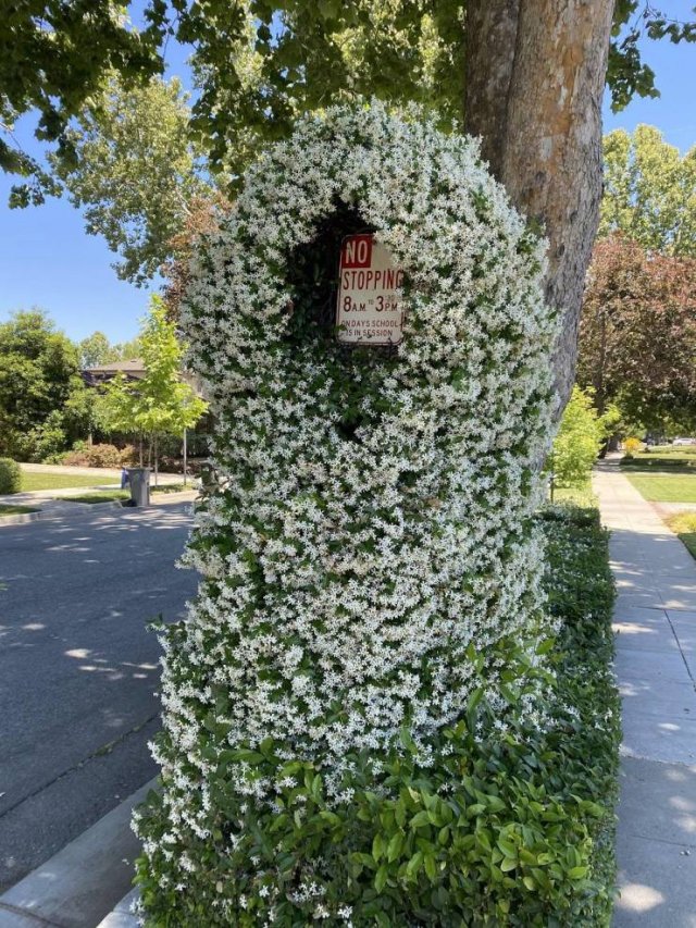 Подборка картинок. Вечерний выпуск - 03.03.2026