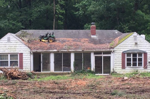 Подборка картинок. Вечерний выпуск - 03.03.2026