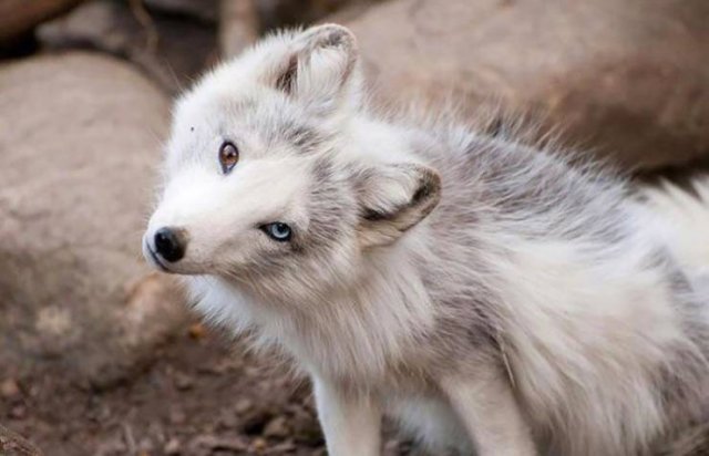 Подборка картинок. Вечерний выпуск - 03.03.2026