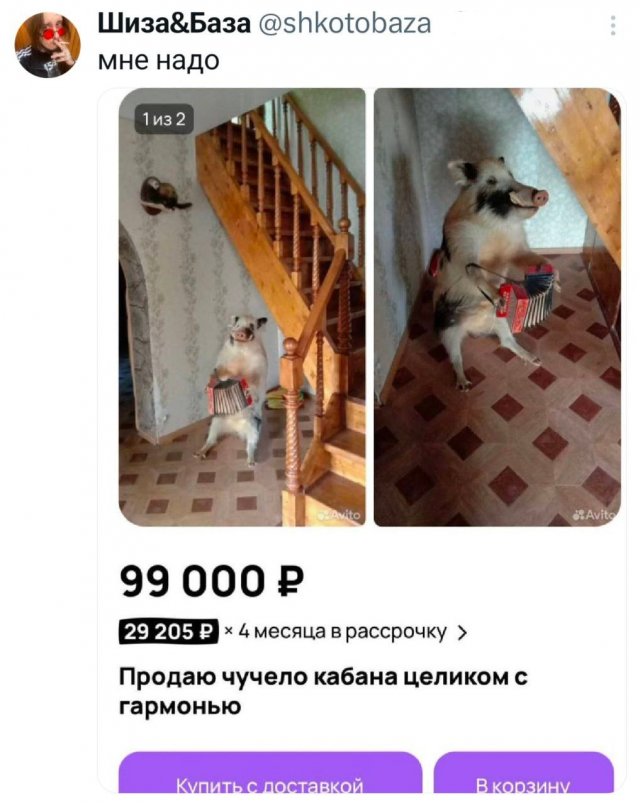 Подборка забавных твитов обо всем