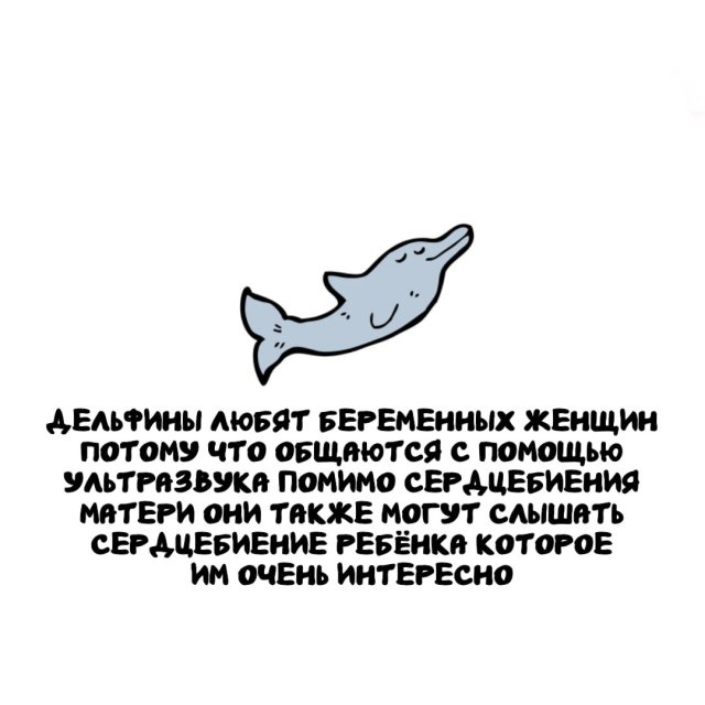 Интересные факты на все случаи жизни