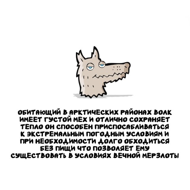 Интересные факты на все случаи жизни