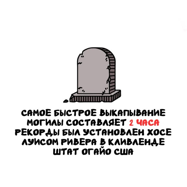 Интересные факты на все случаи жизни