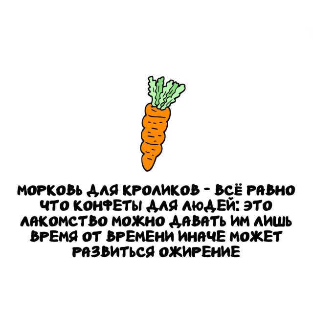 Интересные факты на все случаи жизни