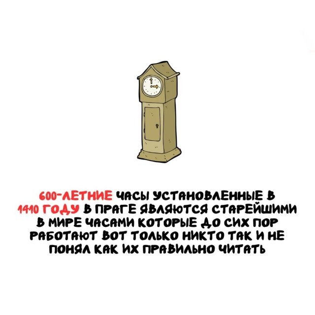 Интересные факты на все случаи жизни