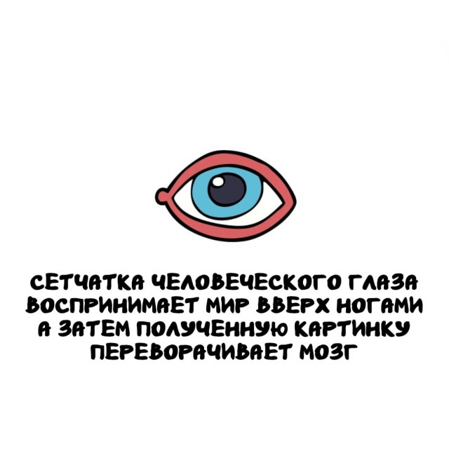 Интересные факты на все случаи жизни