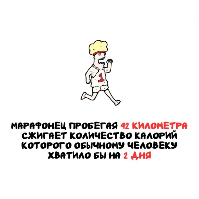 Интересные факты на все случаи жизни