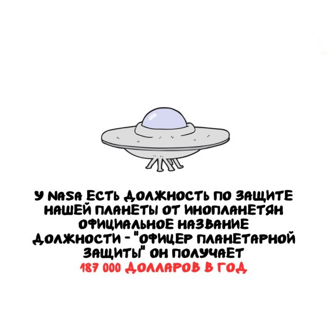 Интересные факты на все случаи жизни