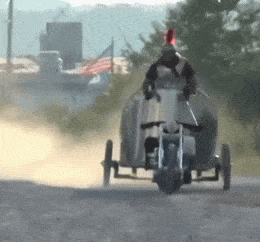 Подборка забавных и ярких гифок