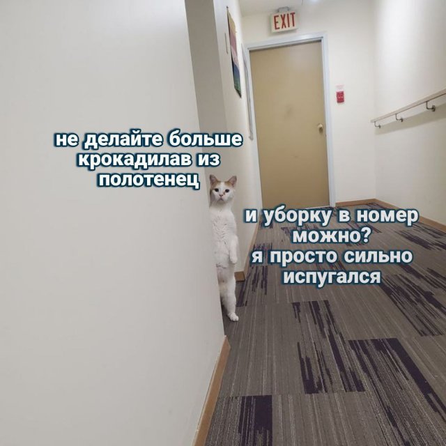 Лучшие шутки и мемы из Сети - 04.03.2026