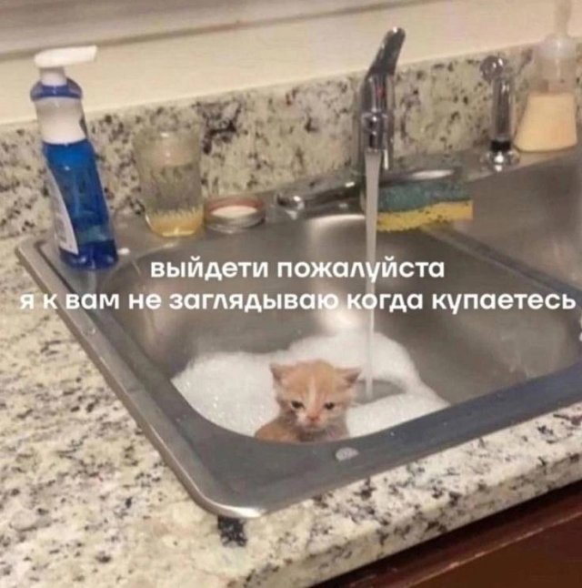 Лучшие шутки и мемы из Сети - 04.03.2026