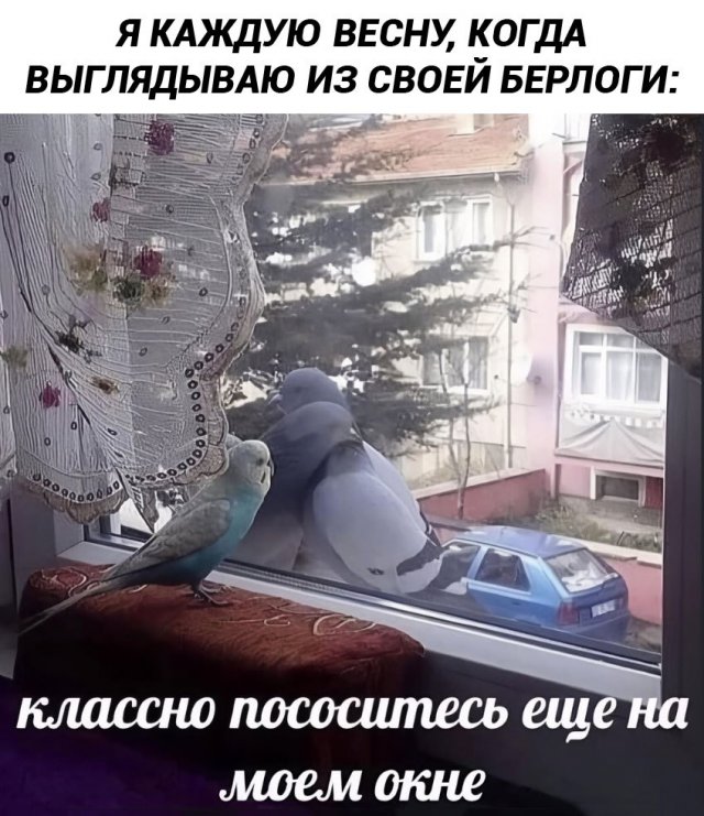 Лучшие шутки и мемы из Сети - 04.03.2026
