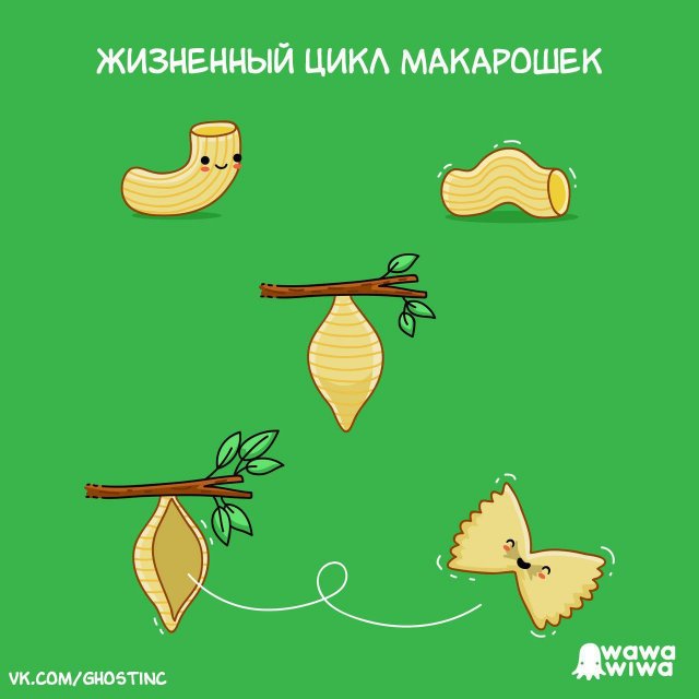 Лучшие шутки и мемы из Сети - 04.03.2026