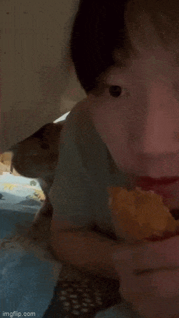 Свежая подборка забавных гифок