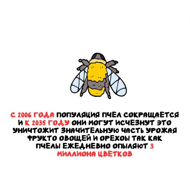 Интересные факты на все случаи жизни