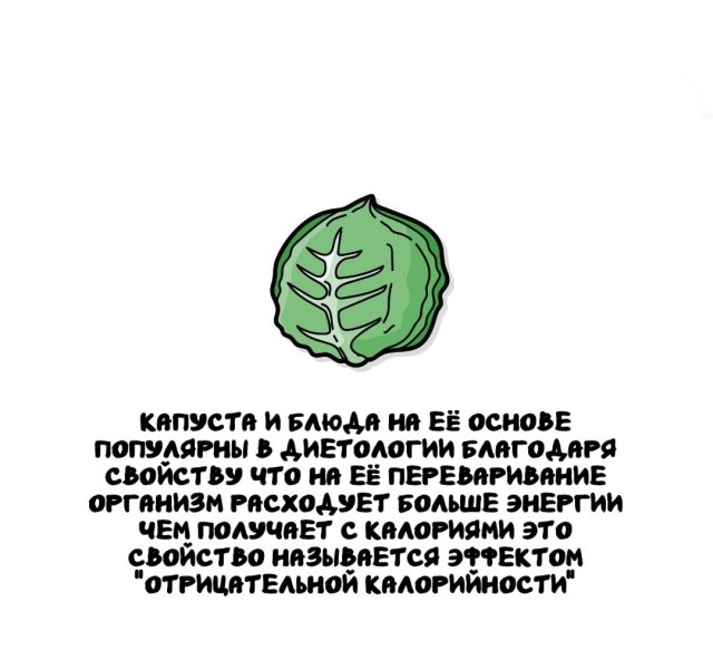 Интересные факты на все случаи жизни