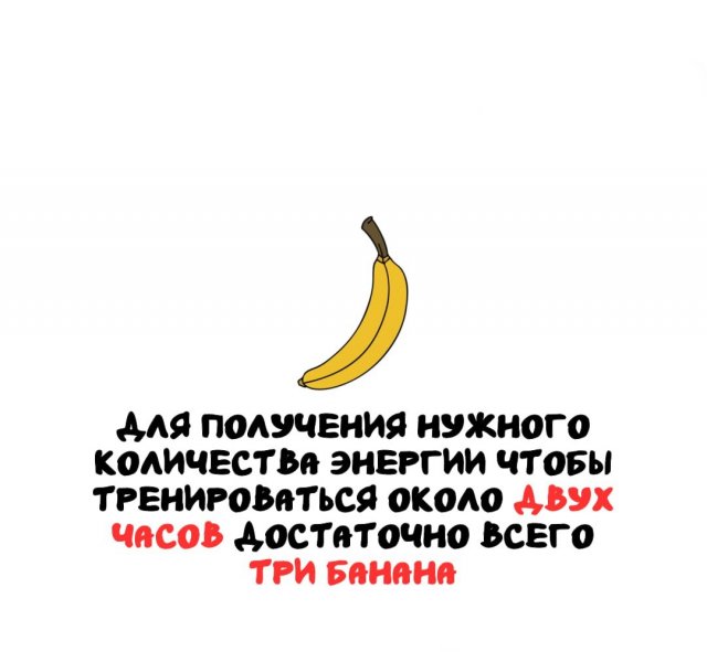 Интересные факты на все случаи жизни