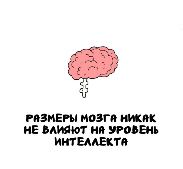 Интересные факты на все случаи жизни
