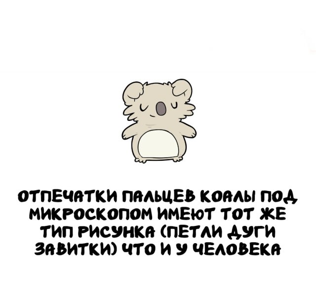 Интересные факты на все случаи жизни