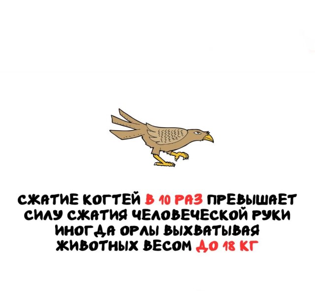 Интересные факты на все случаи жизни