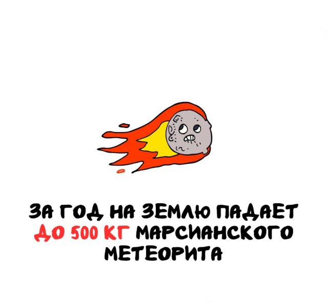Интересные факты на все случаи жизни