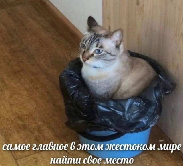 Лучшие шутки и мемы из Сети - 05.03.2026