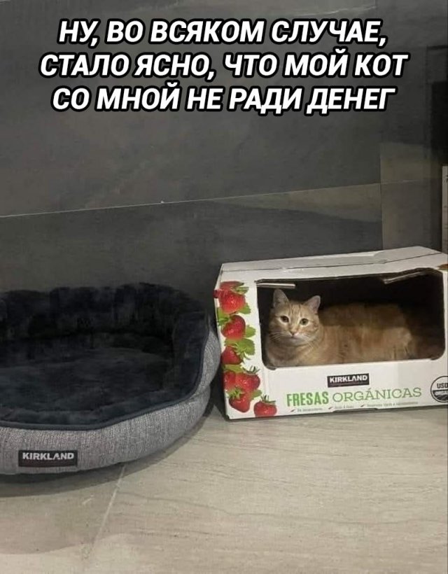 Лучшие шутки и мемы из Сети - 05.03.2026