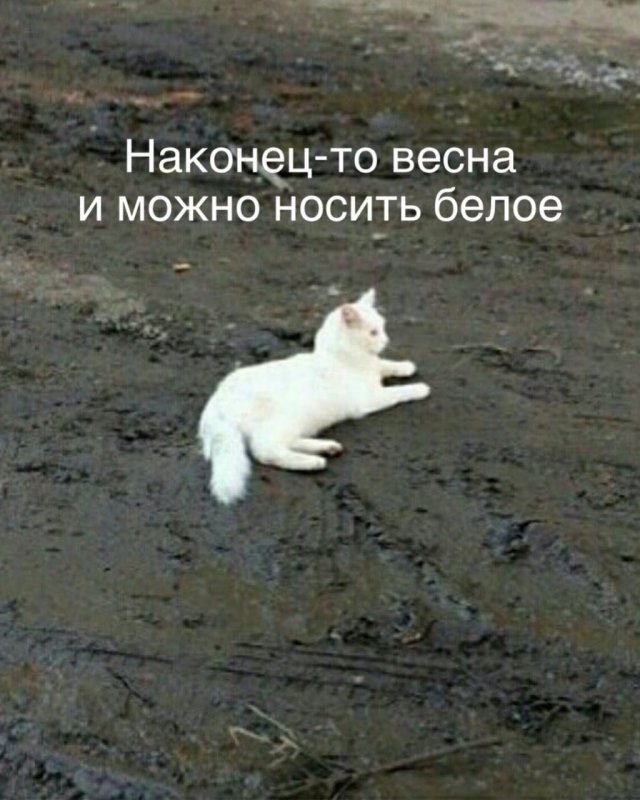 Лучшие шутки и мемы из Сети - 05.03.2026