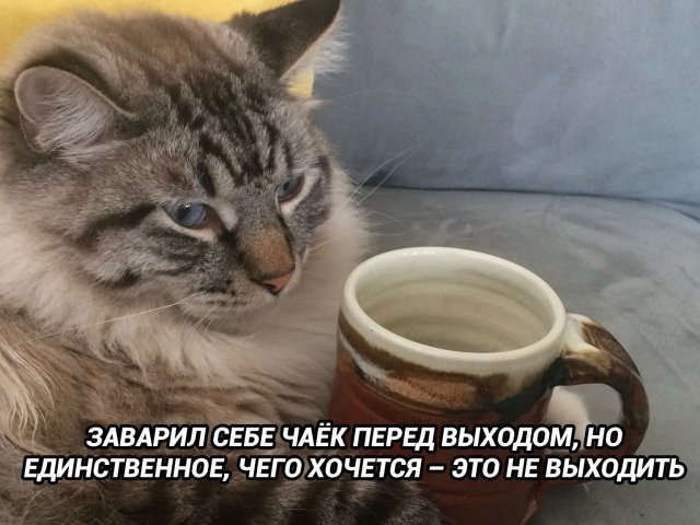 Лучшие шутки и мемы из Сети - 05.03.2026