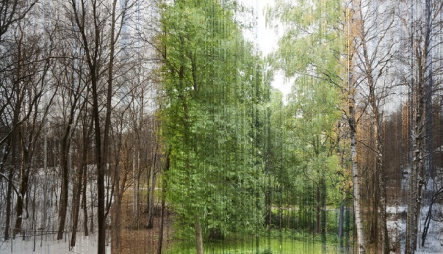 Коллаж из 365 фрагментов разных фотографий