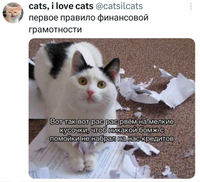 Подборка забавных твитов обо всем