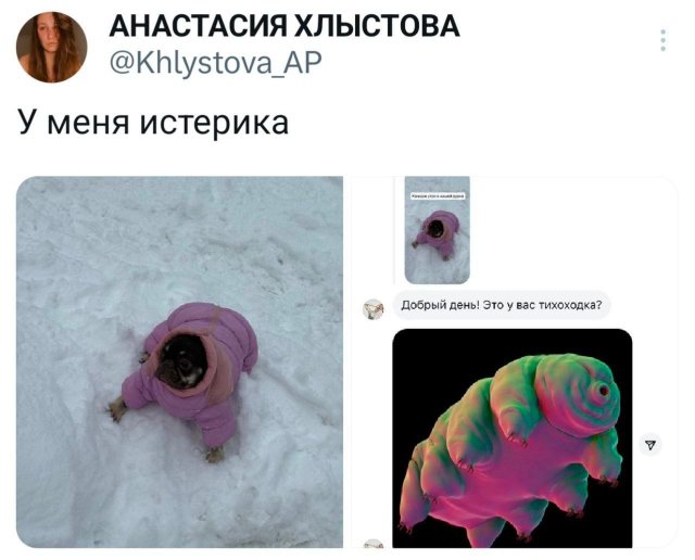 Подборка забавных твитов обо всем