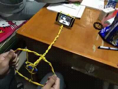 Забавный питомец делает что-то необычное