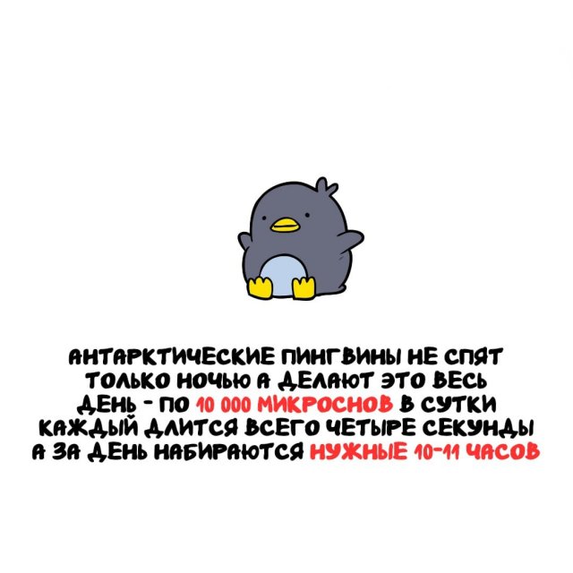 Интересные факты на все случаи жизни