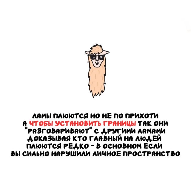 Интересные факты на все случаи жизни