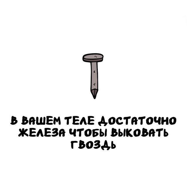 Интересные факты на все случаи жизни