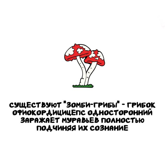 Интересные факты на все случаи жизни