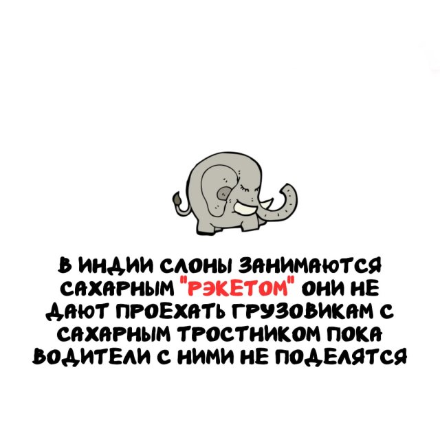 Интересные факты на все случаи жизни