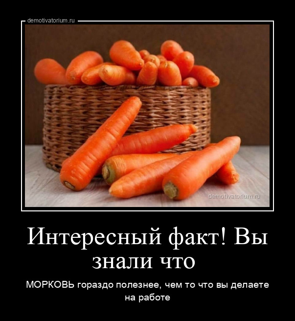 Подборка забавных демотиваторов