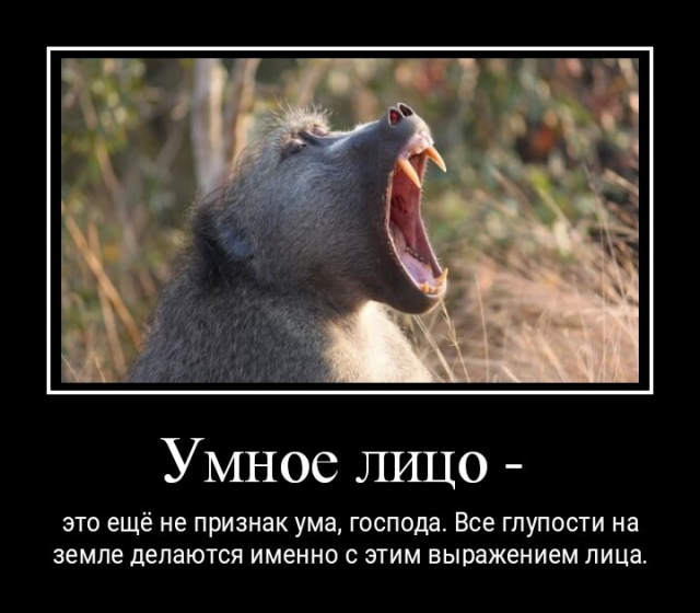 Подборка забавных демотиваторов