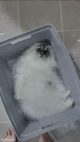 Подборка анимированных гифок