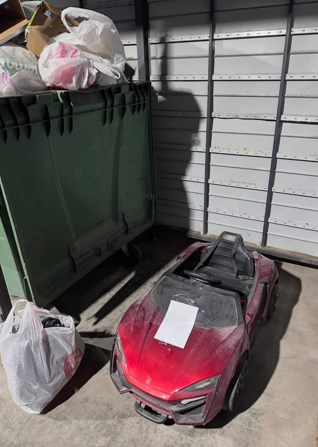 Достойная находка у мусорного бака