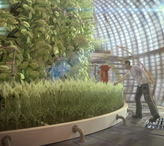 Похоже, на Марсе можно выращивать растения