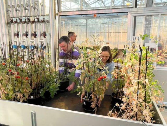 Похоже, на Марсе можно выращивать растения