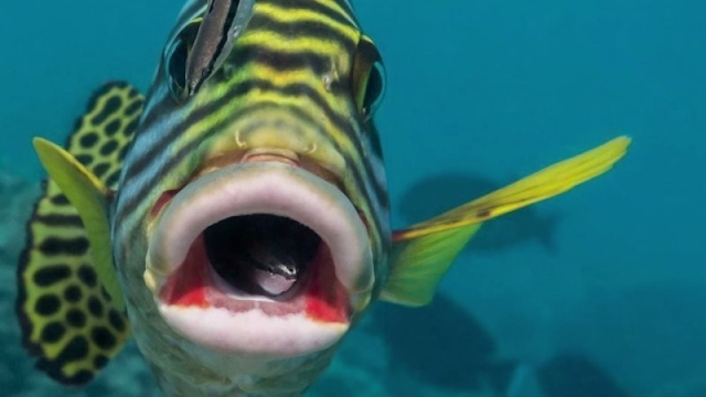 Подборка реальных фактов, которые всё равно хочется перепроверить