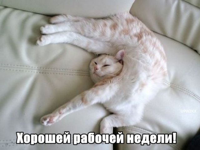 Трынделка - 10.03.2026